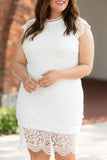 Plus Size Lace Cap Sleeves Bodycon Midi Dress