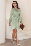 Lace Trim V Neck Tie Waist Long Sleeve Dress