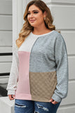 Cable Knit Colorblock Long Sleeve Plus Size Top