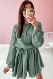 Button Neck Puff Sleeve Belted Pleated Mini Dress