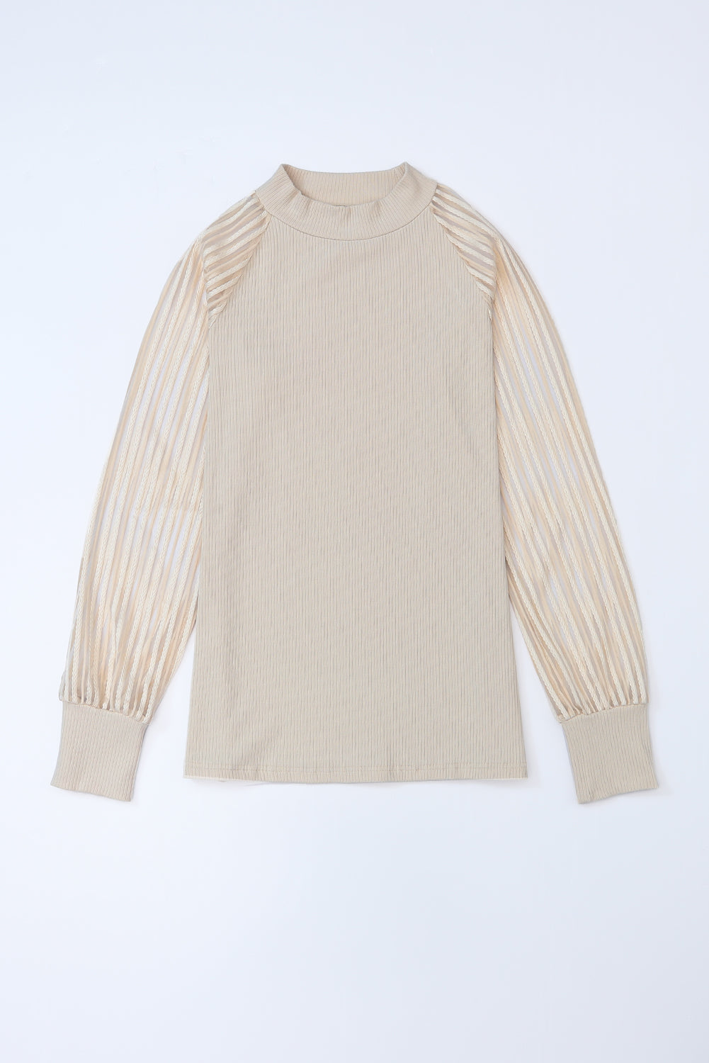 Striped Mesh Long Sleeve Crewneck Ribbed Top