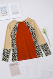 Colorblock Leopard V Neck Long Sleeve Top