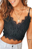 Eyelash Trim Lace Overlay Bralette