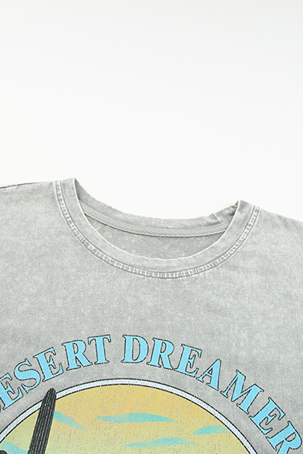 T-shirt graphique gris Desert Dreamer à délavage minéral 