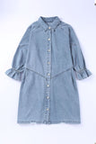 Buttoned Long Sleeve Denim Mini Dress