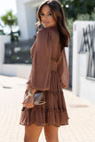 Frill Smocked Detail Sheer Long Sleeve Dress