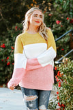 Colorblock Bubble Sleeve Plus Size Sweater