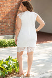 Plus Size Lace Cap Sleeves Bodycon Midi Dress