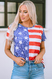 American Flag Print Distressed Crew Neck T Shirt