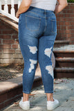 Plus Size Distressed Ripped Skinny Jeans