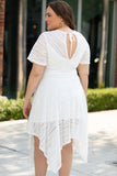 Plus Size Lace Striped Texture Handkerchief Hem Dress