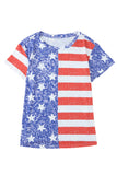 American Flag Print Distressed Crew Neck T Shirt