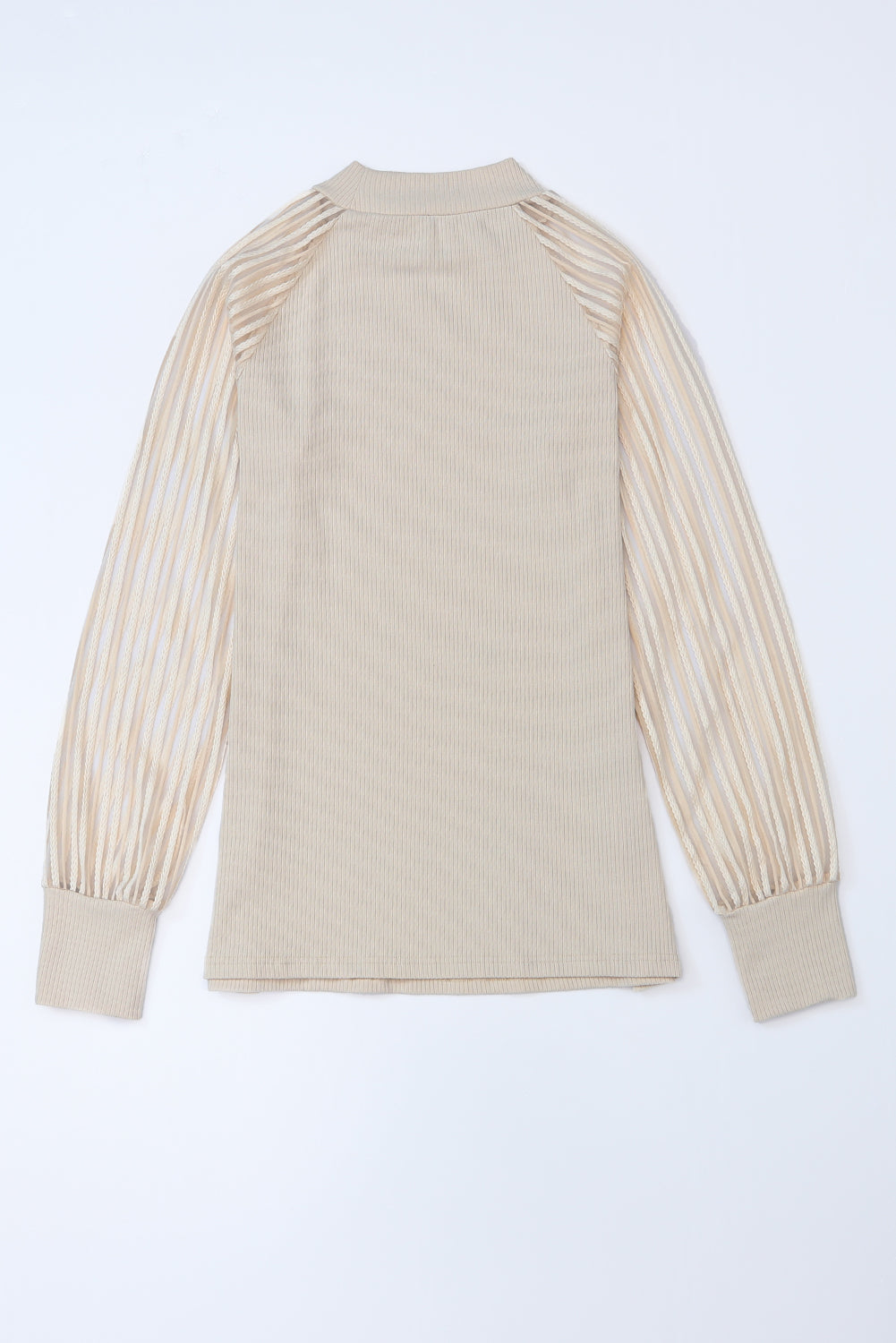 Striped Mesh Long Sleeve Crewneck Ribbed Top