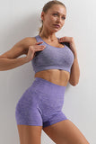 Ensemble violet soutien-gorge de sport sans couture et short de yoga