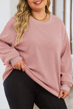 Pink Solid Ribbed Knit Round Neck Pullover Sweatshirt