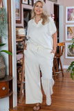 Beige Plus Size Textured Collared Top and Pants Set