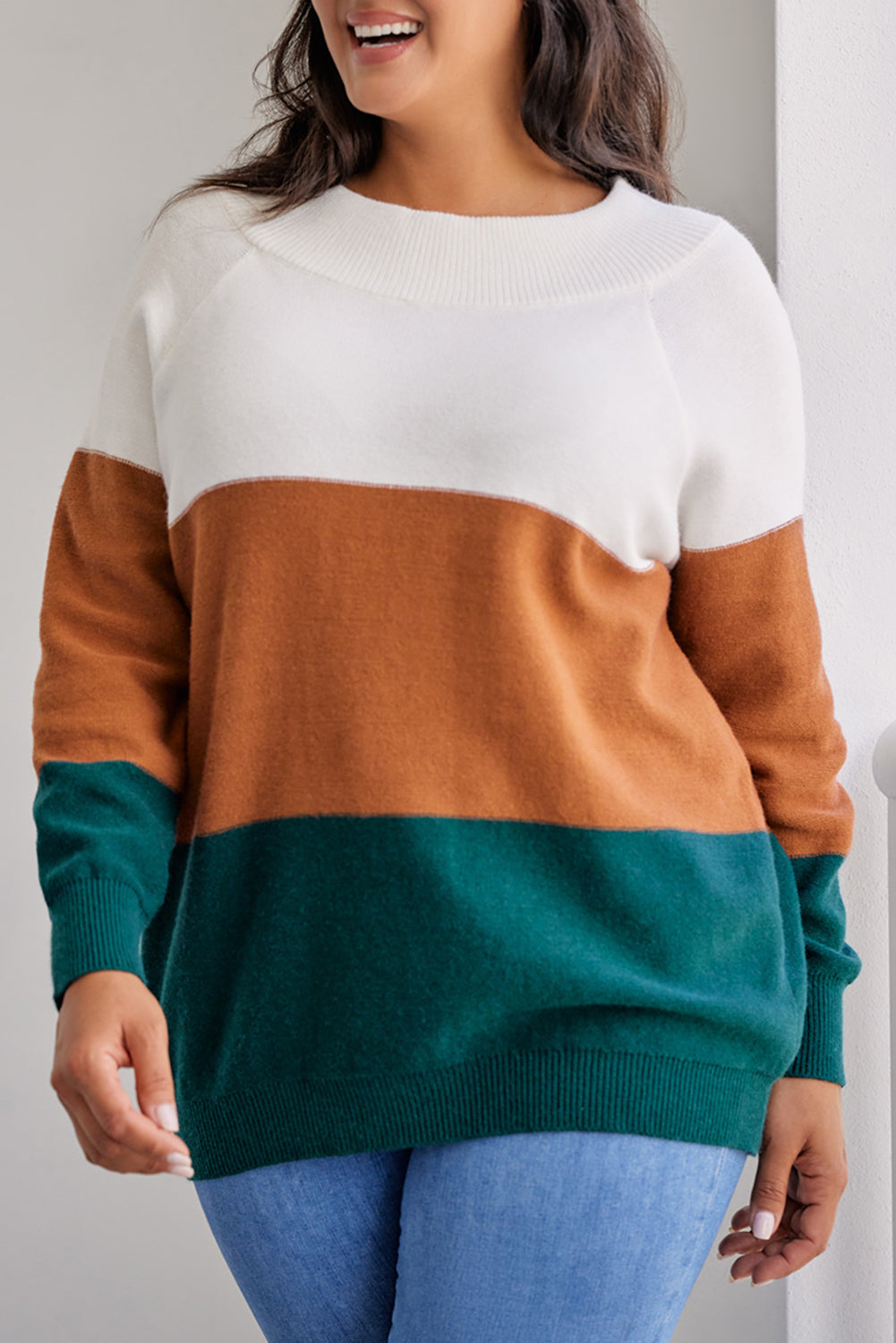 Plus Size Ribbed Trim Color Block Sweater