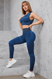 Stream Line Detail Seamless High Stretch Sports Set