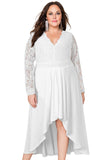 Plus Size High-Low Lace Contrast Evening Dress