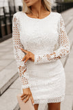 Lace Hollowed Long Sleeve Bodycon Dress