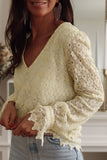 Floret Lace V Neck Long Sleeve Blouse