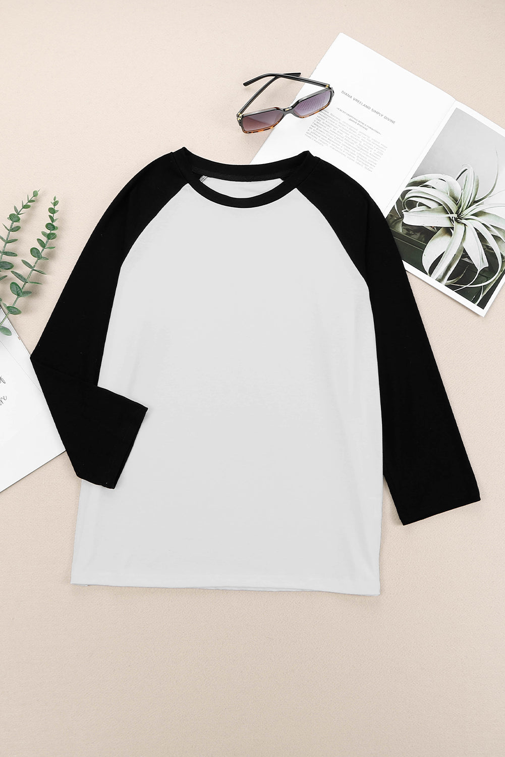 Color Block Raglan Sleeve Pullover Top