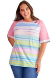 Striped Plus Size Raglan Sleeve Top