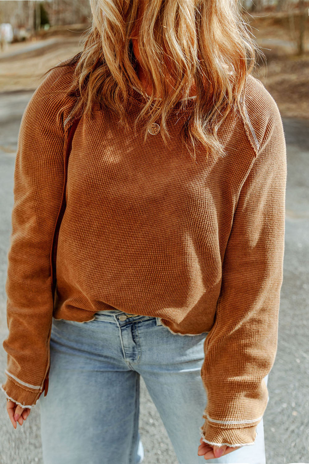 Brown Textured Round Neck Long Sleeve Top