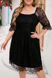 Eyelash Lace Square Neck Plus Size Dress