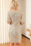 Knot Pack Hip Sequin Dress