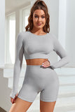 Long Sleeve Seamless Crop Smoke