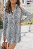 Long Sleeve Animal Print Shirt Dress