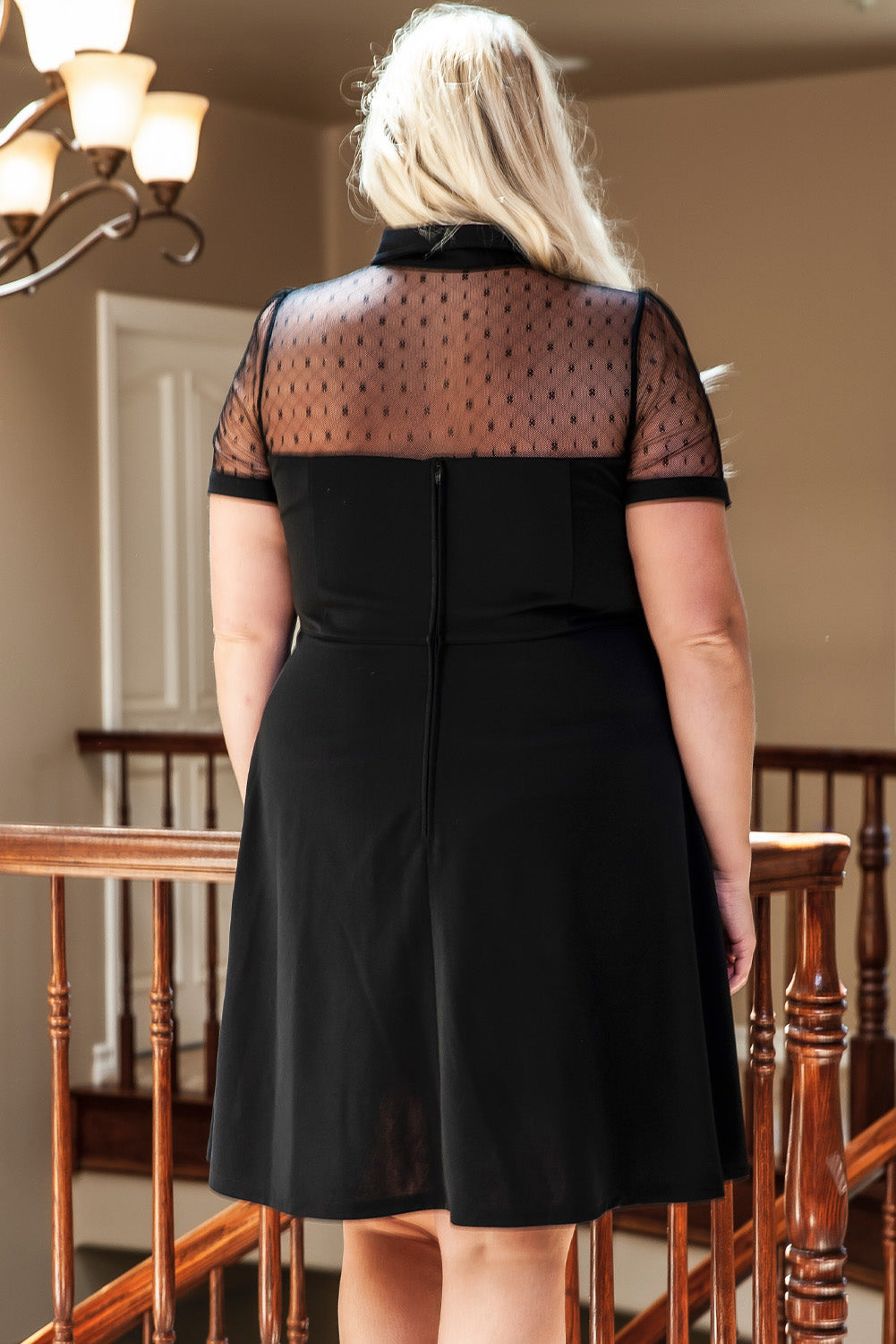 Plus Size Collared Mesh Yoke Fit Flare Dress