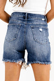 High Waist Distressed Fringed Cut Off Shorts