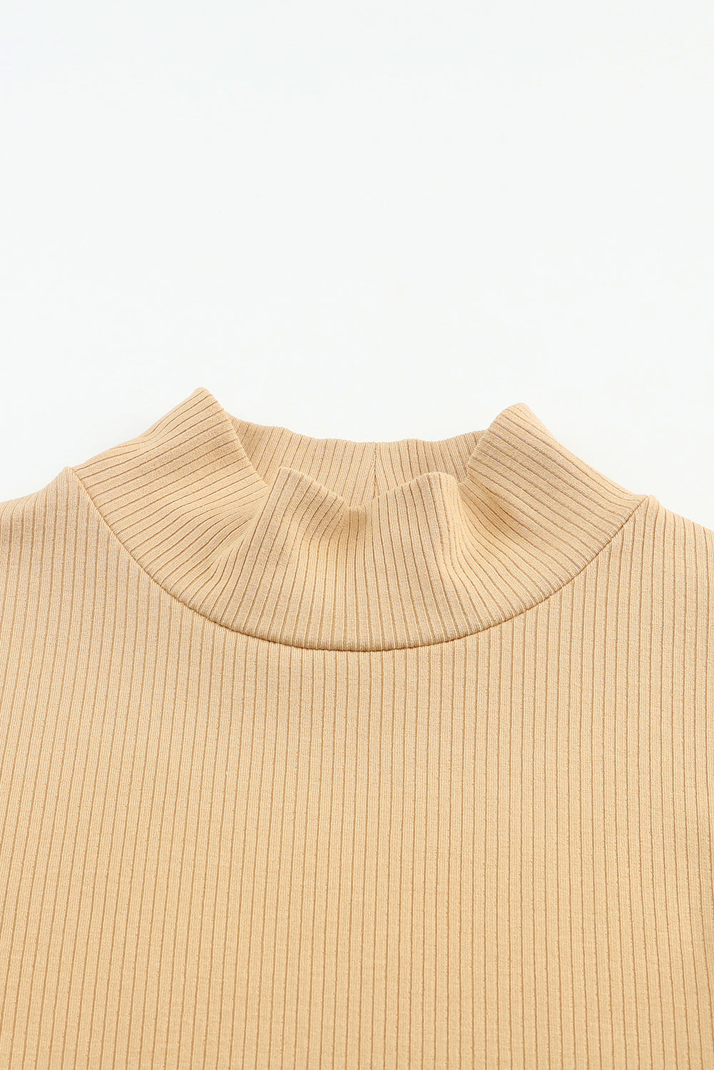 Ribbed Knit High Neck Long Sleeve Top