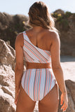 Multi Striped One Shoulder Bikini High Waist Swimsuit