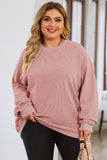 Pink Solid Ribbed Knit Round Neck Pullover Sweatshirt