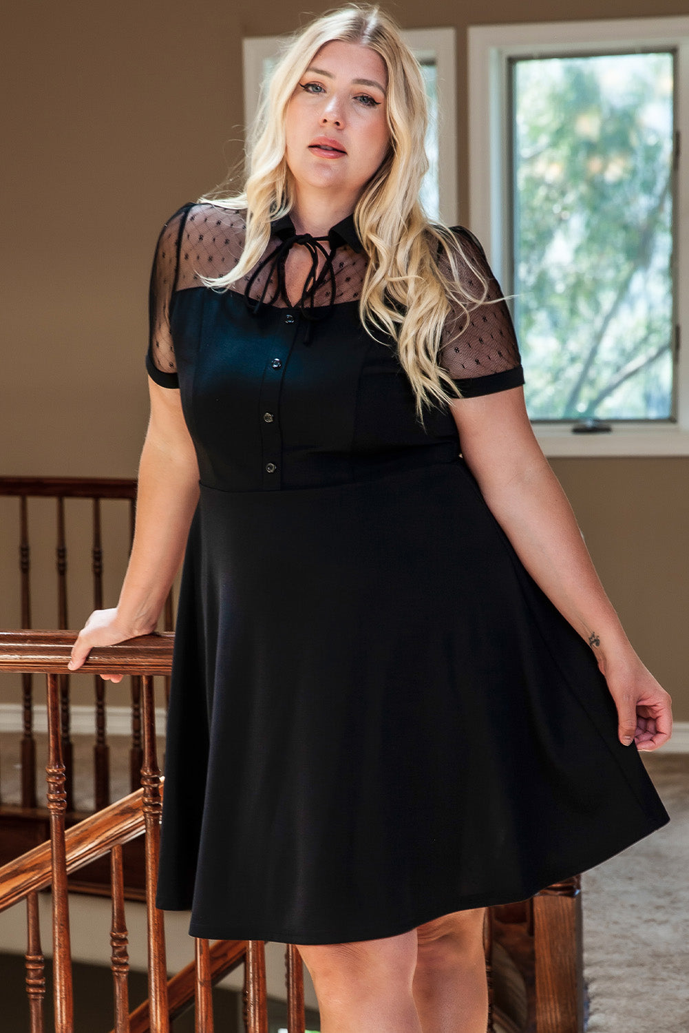 Plus Size Collared Mesh Yoke Fit Flare Dress