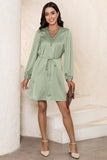 Lace Trim V Neck Tie Waist Long Sleeve Dress