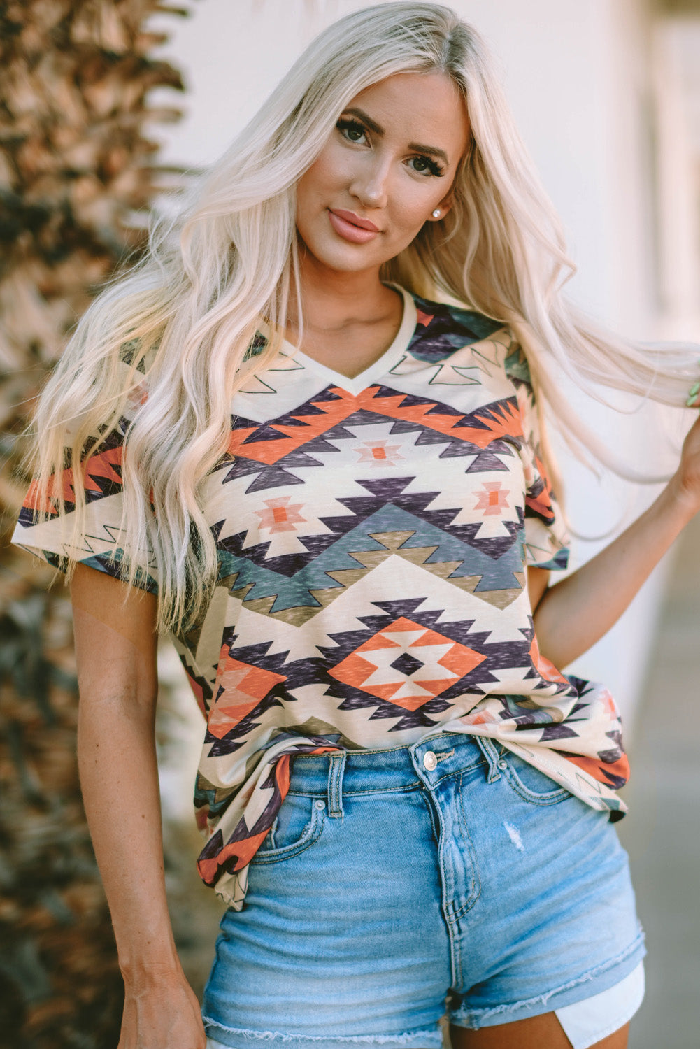 Aztec Print V Neck Long Sleeve Top