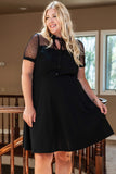 Plus Size Collared Mesh Yoke Fit Flare Dress