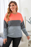 Crew Neck Colorblock Plus Size Sweatshirt