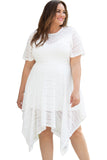 Plus Size Lace Striped Texture Handkerchief Hem Dress