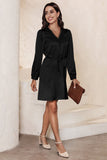 Lace Trim V Neck Tie Waist Long Sleeve Dress