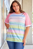 Striped Plus Size Raglan Sleeve Top