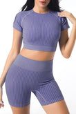 Ribbed Seamless 2 Pieces Active Crop Top High Waist Yoga Set