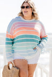 Striped Crewneck Plus Size Sweater