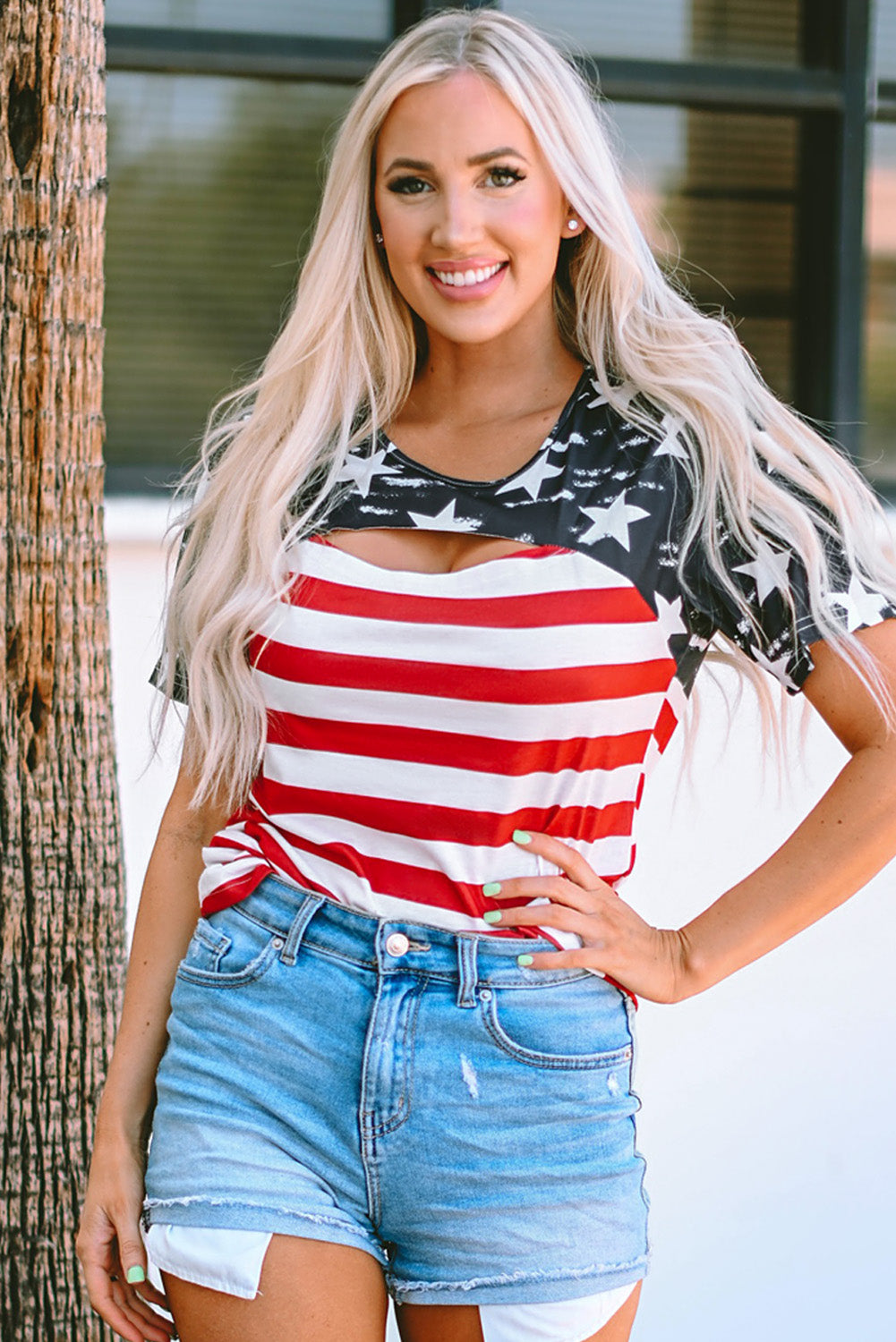 Contrast American Flag Cutout T-Shirt