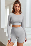 Long Sleeve Seamless Crop Smoke