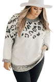 Leopard Knitted O-neck Plus Size Sweater